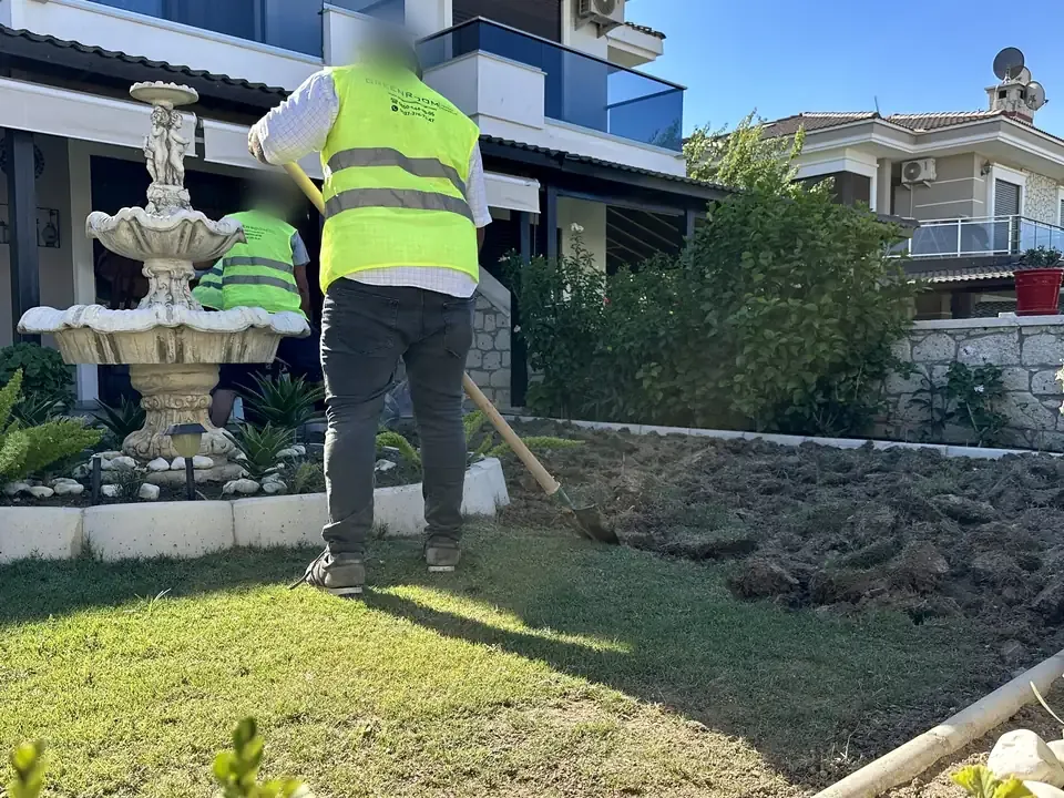 Eski çimin sökülmesi