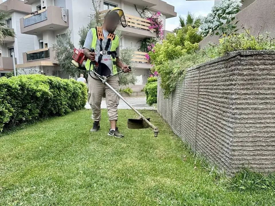 Kenar tırpanı
