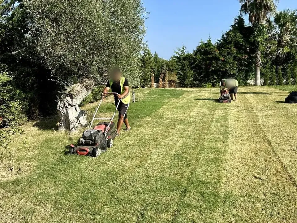 Geniş çim alanda biçim