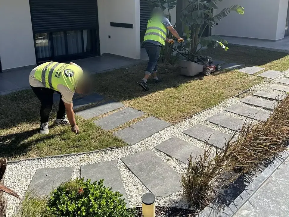 Basamak taşları arasında çim serimi