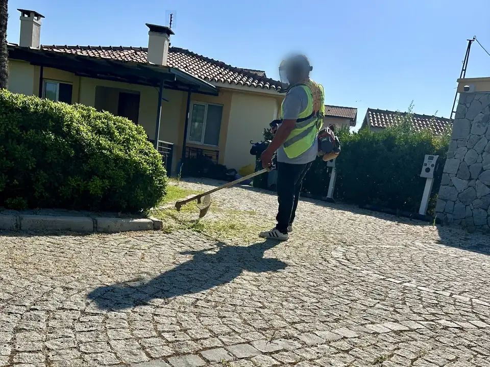 Parke taşı arasında ot temizliği