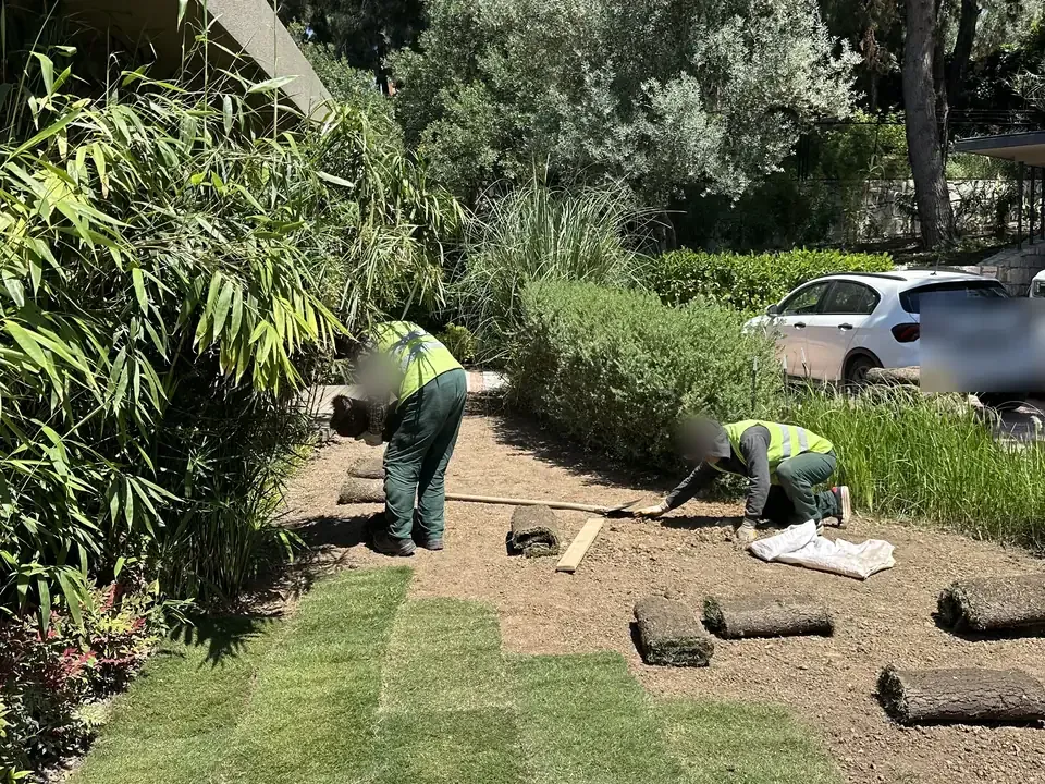 Rulo çim serimi