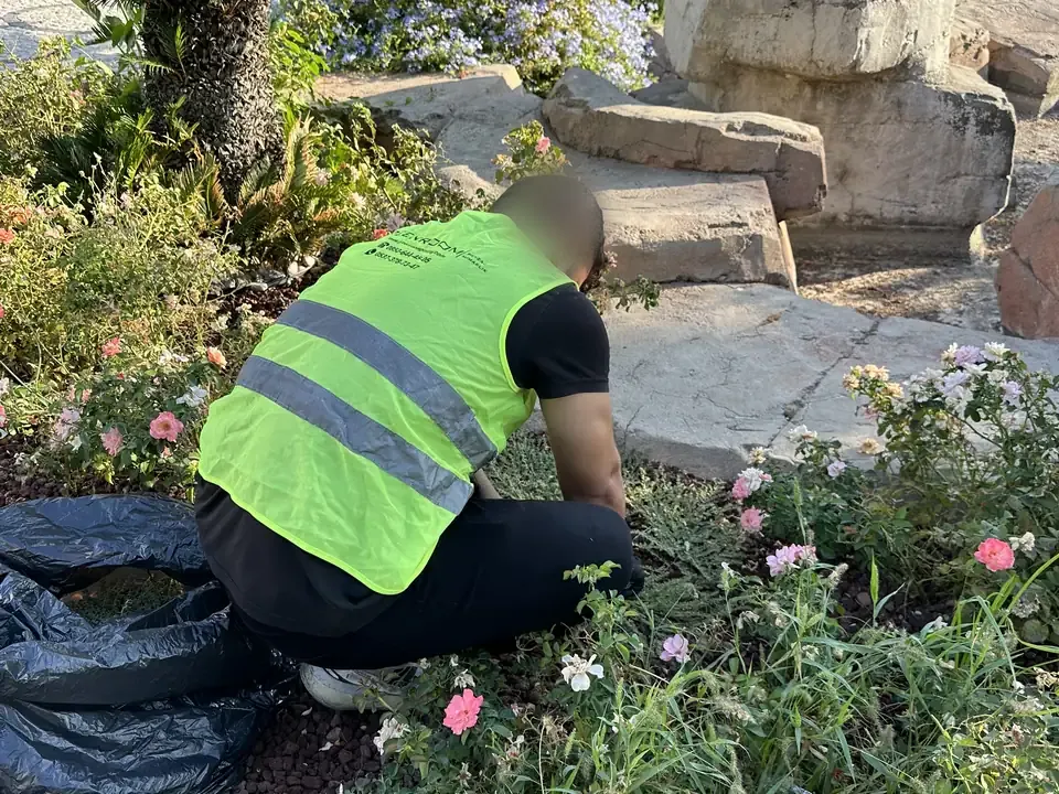 Çiçek tarhında yabani ot temizliği